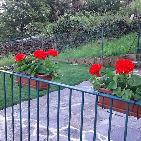 Vanni'S House Cannobio Ngoại thất bức ảnh