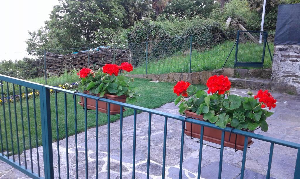 Vanni'S House Cannobio Ngoại thất bức ảnh